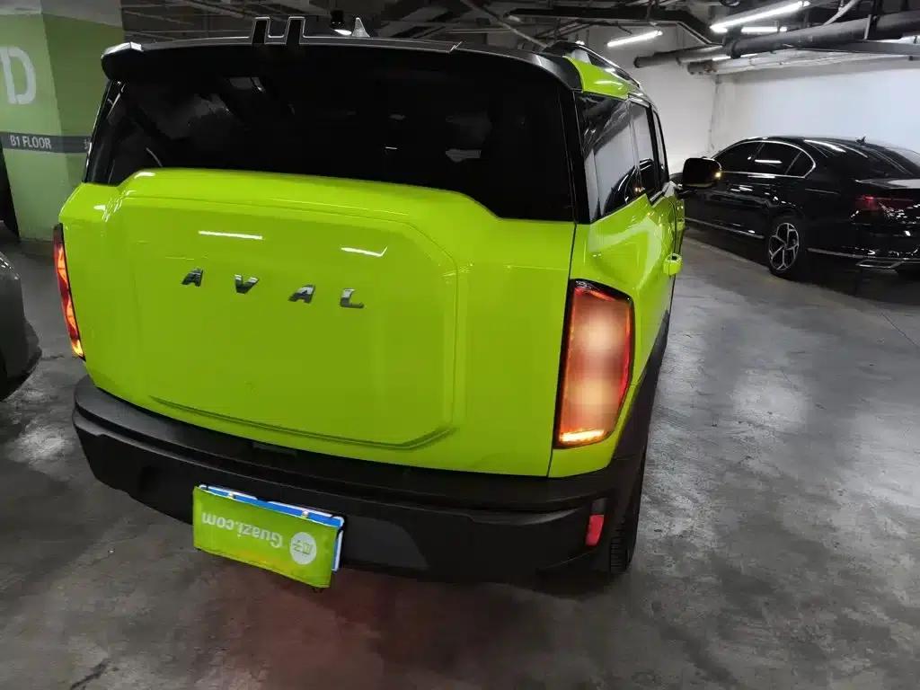 Haval Cool Dog 2022 1.5T DCT 4WD Trendy Wild Edition — миниатюра 24