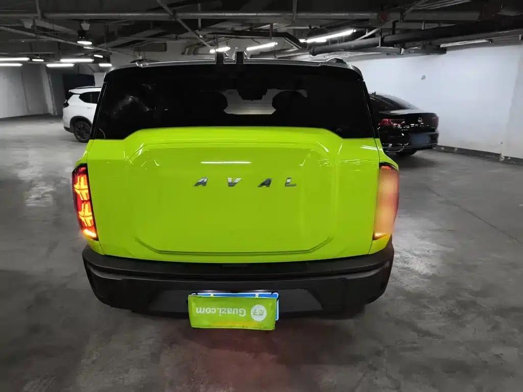 Haval Cool Dog 2022 1.5T DCT 4WD Trendy Wild Edition — миниатюра 4