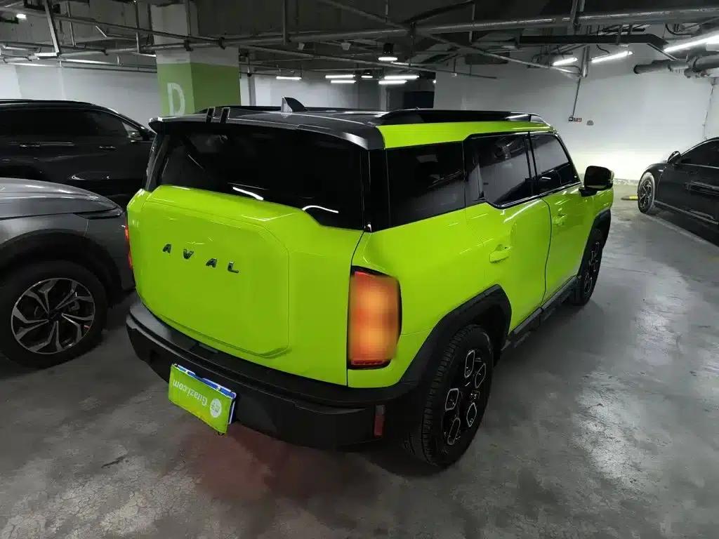 Haval Cool Dog 2022 1.5T DCT 4WD Trendy Wild Edition — миниатюра 5