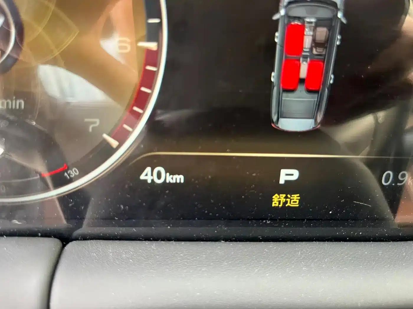 Hongqi Golden Sunflower National Glory 2022 4.0T Premium Flagship Edition 4-seater — миниатюра 14