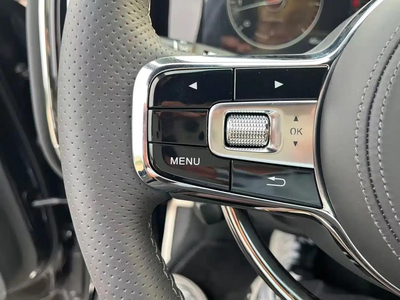 Hongqi Golden Sunflower National Glory 2022 4.0T Premium Flagship Edition 4-seater — миниатюра 20