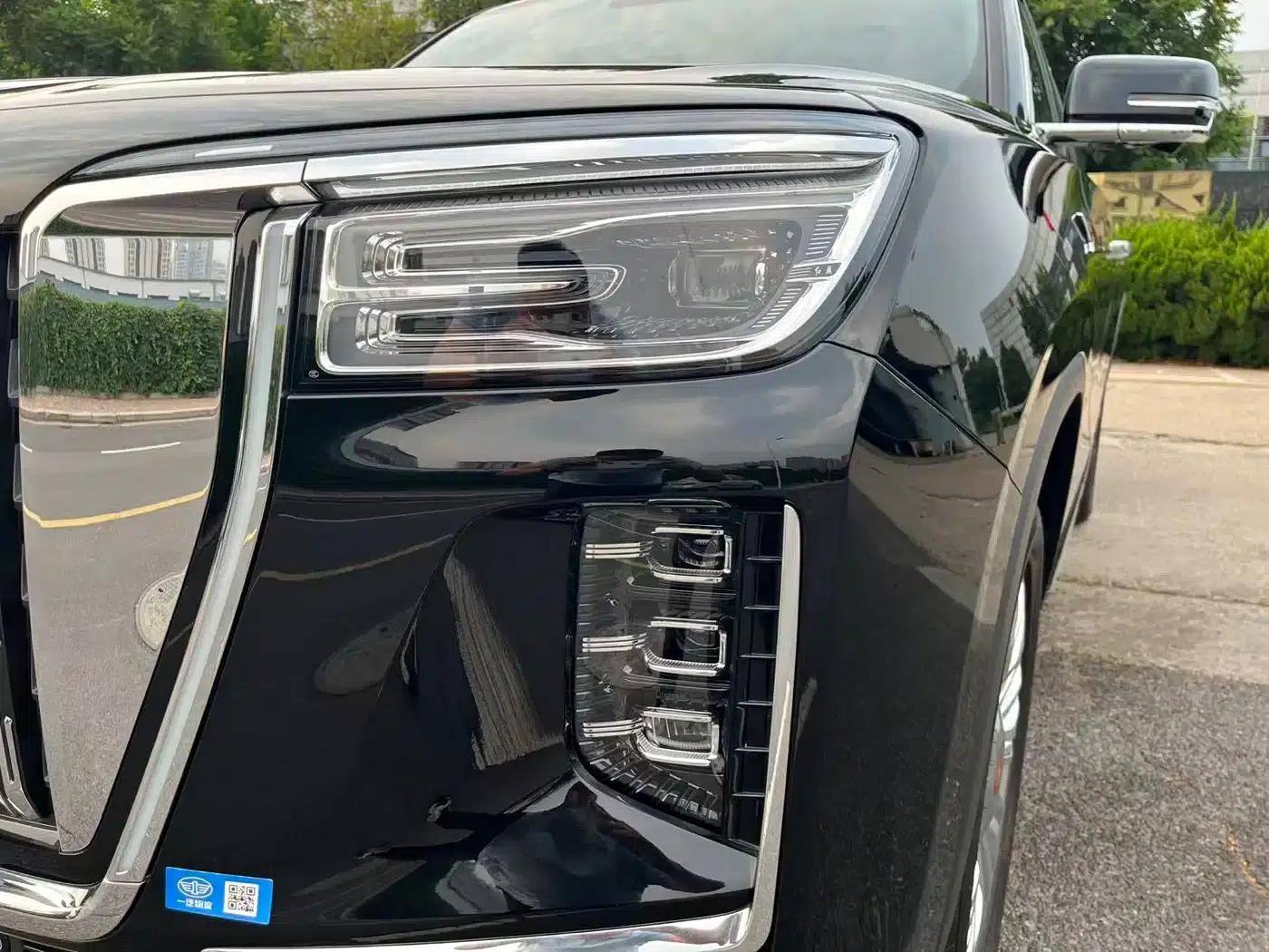 Hongqi Golden Sunflower National Glory 2022 4.0T Premium Flagship Edition 4-seater — миниатюра 8
