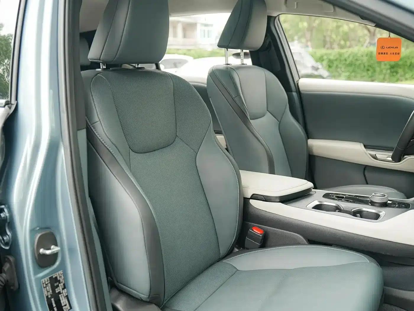 Lexus RZ 2023 450e AWD Luxury Edition — миниатюра 12