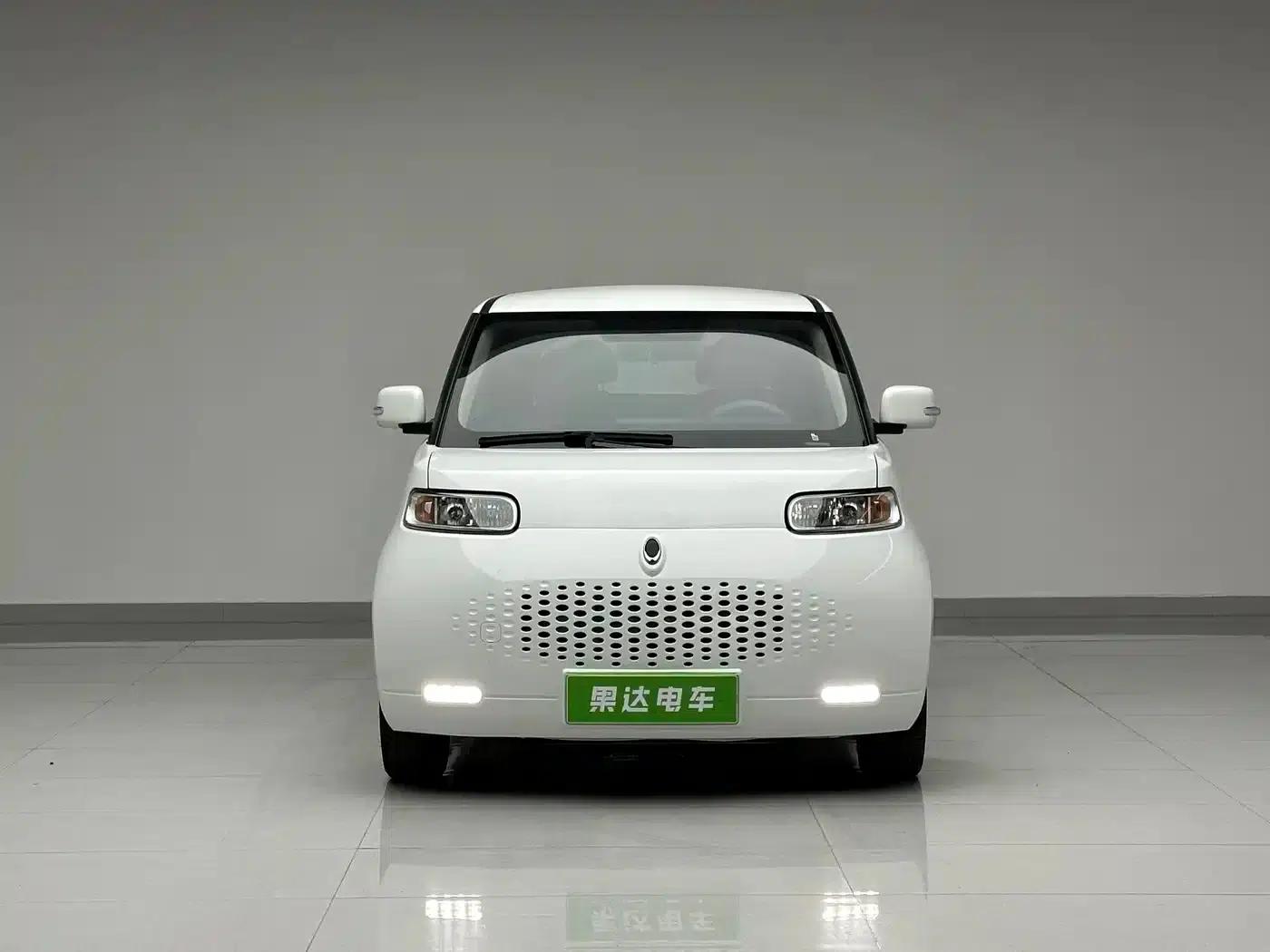 ORA White Cat 2020 Model 305km Luxury — миниатюра 2