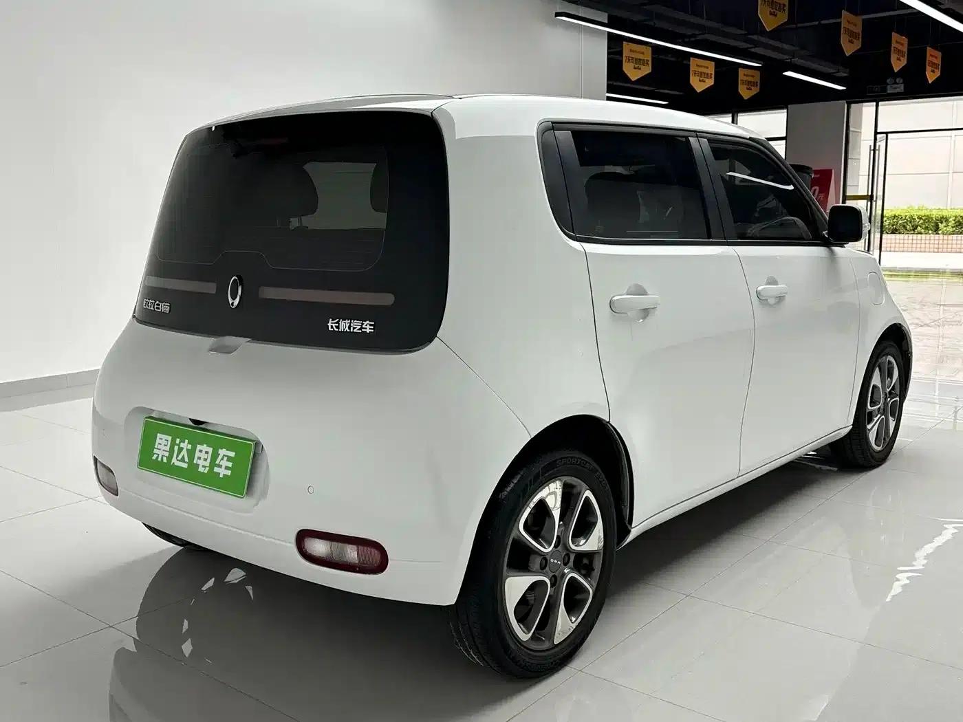 ORA White Cat 2020 Model 305km Luxury — миниатюра 4