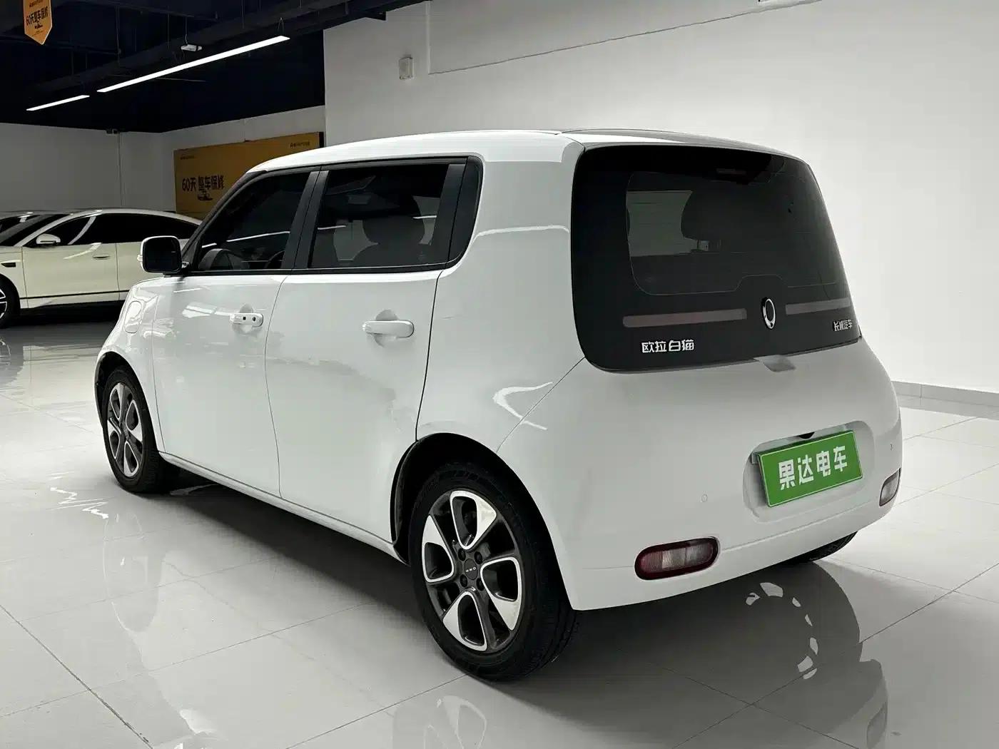 ORA White Cat 2020 Model 305km Luxury — миниатюра 6