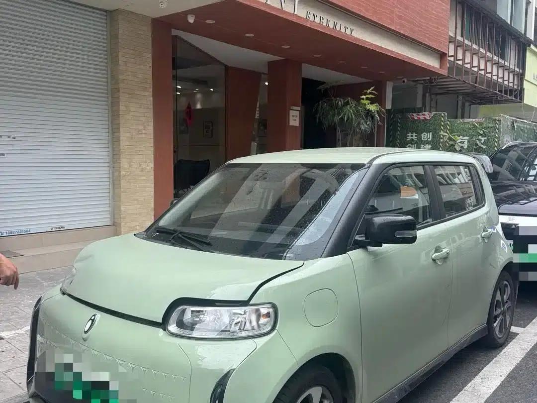 ORA White Cat 2022 Little Wildcat Edition 360km Premium Model (Ternary Lithium) — миниатюра 1