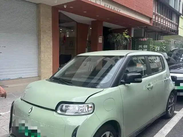 ORA White Cat 2022 Little Wildcat Edition 360km Premium Model (Ternary Lithium)