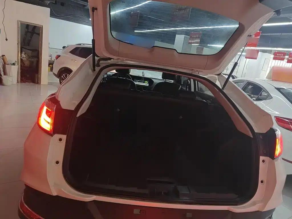 Venucia T90 2018 2.0L CVT Smart Connect Smart Edition (National VI Emission Standard) — миниатюра 15