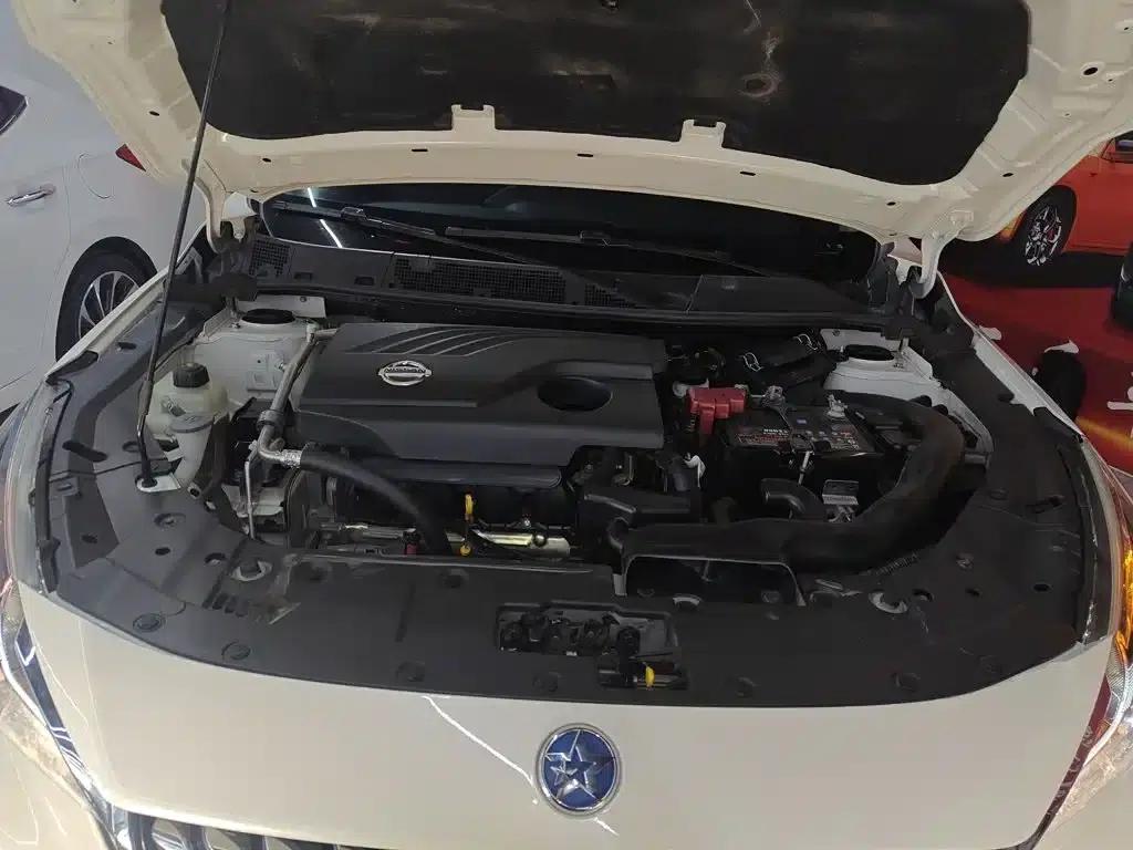 Venucia T90 2018 2.0L CVT Smart Connect Smart Edition (National VI Emission Standard) — миниатюра 16