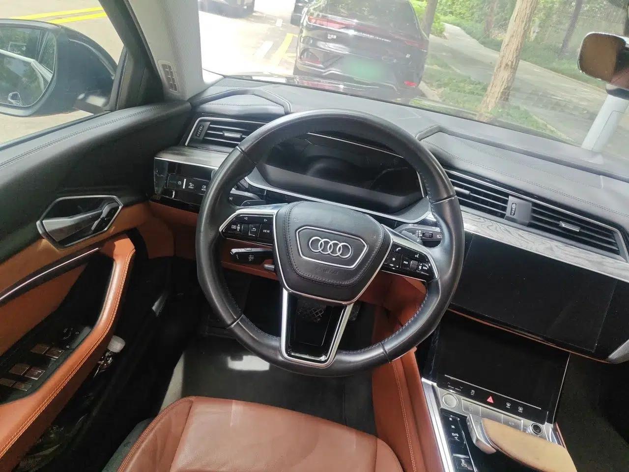Audi e-tron 2019 55 quattro Fashion Edition — миниатюра 10