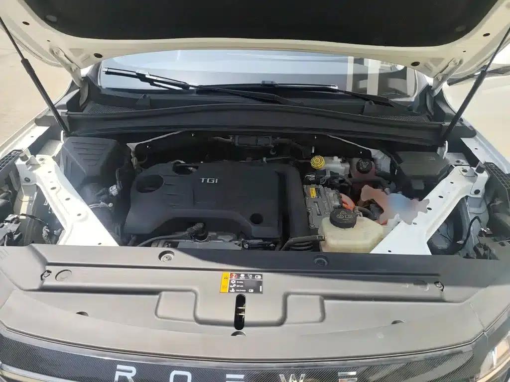 Roewe RX5 eMAX 2022 1.5T PHEV Fearless Premium Edition — миниатюра 20