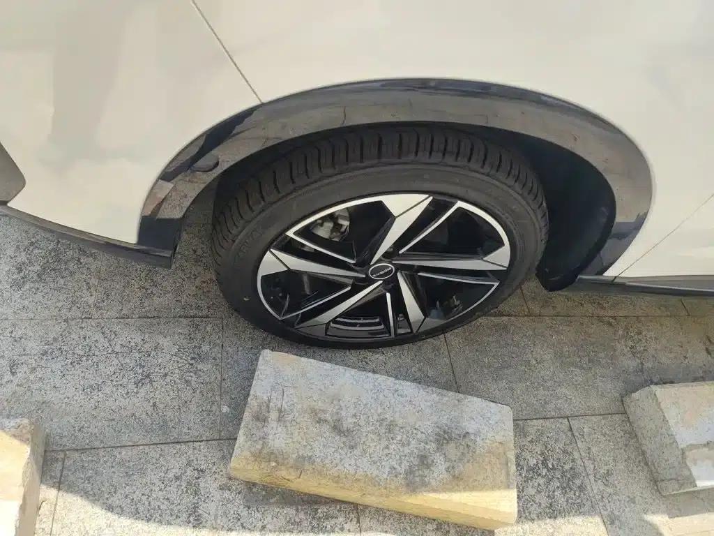 Roewe RX5 eMAX 2022 1.5T PHEV Fearless Premium Edition — миниатюра 23