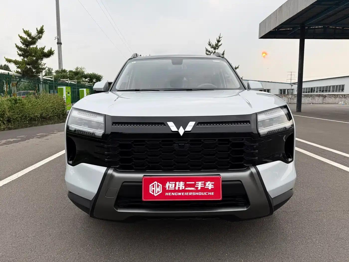 Starlight 560 New Energy 2026 Plug-in Hybrid 125km/h Luxury Model — миниатюра 2