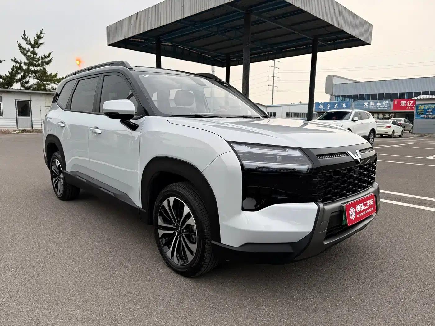 Starlight 560 New Energy 2026 Plug-in Hybrid 125km/h Luxury Model — миниатюра 3