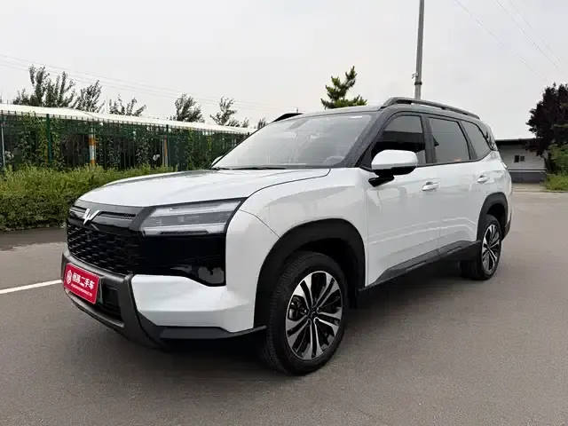 Starlight 560 New Energy 2026 Plug-in Hybrid 125km/h Luxury Model