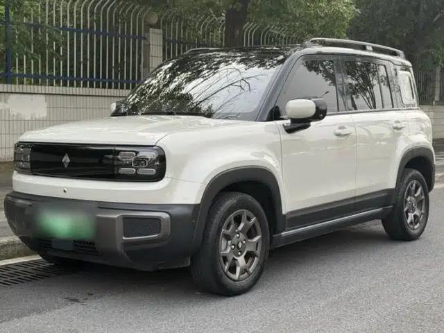 Baojun Spark EUV 2024 Flagship Edition 4 Seats