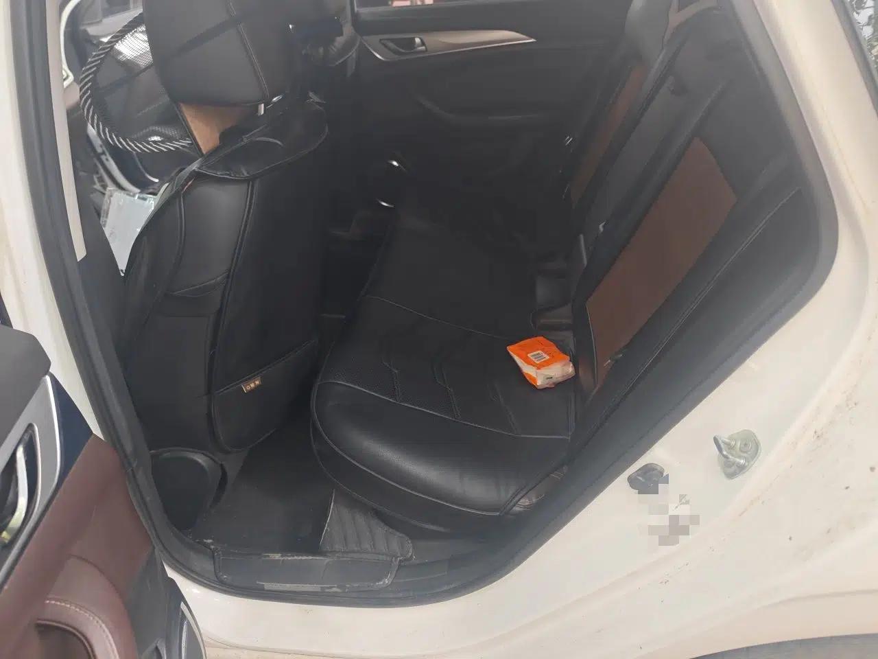 CHANGAN Eado New Energy 2019 EV460 Smart Edition — миниатюра 17