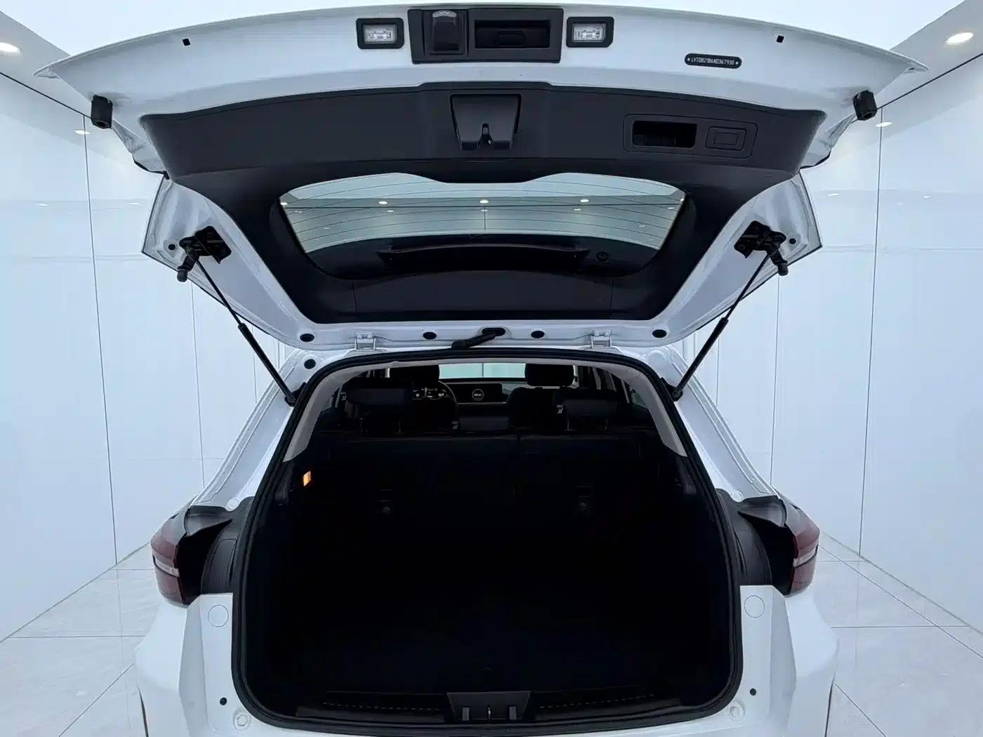 Star Chaser 2022 Wind Chaser Edition 1.5T CVT Good Things Peanut Edition — миниатюра 14