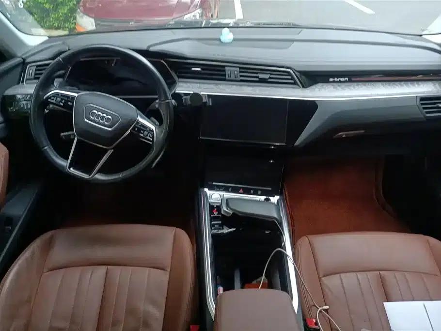 2019 Audi e-tron Imported Model 55 quattro Fashion Edition — миниатюра 12