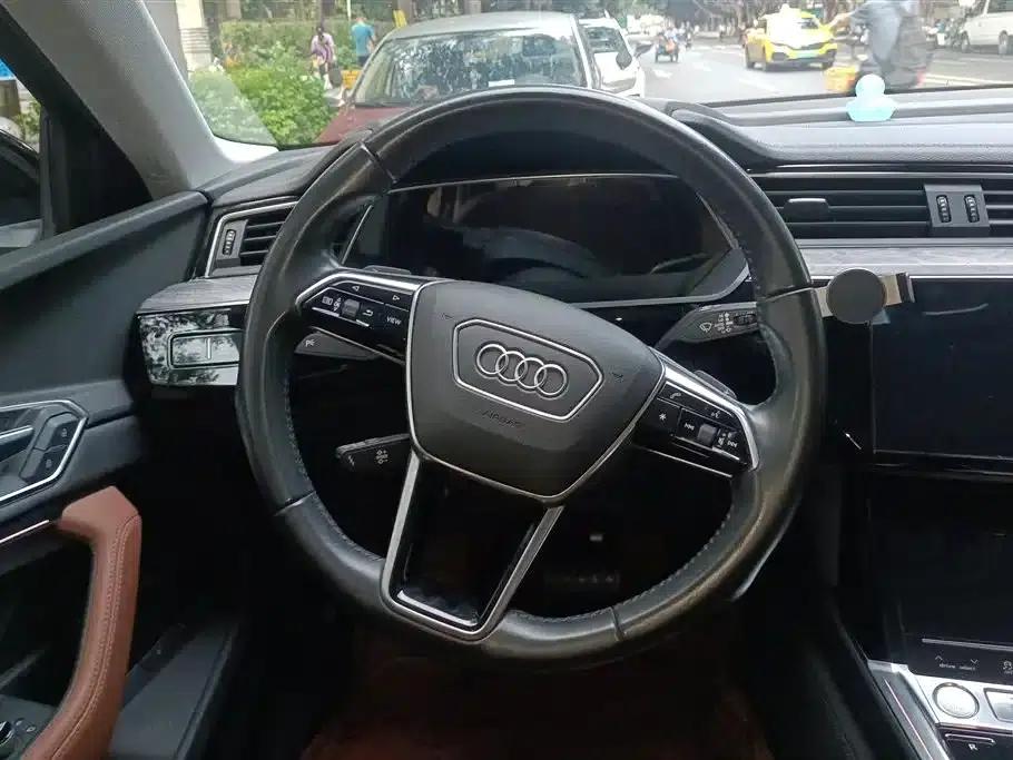 2019 Audi e-tron Imported Model 55 quattro Fashion Edition — миниатюра 15