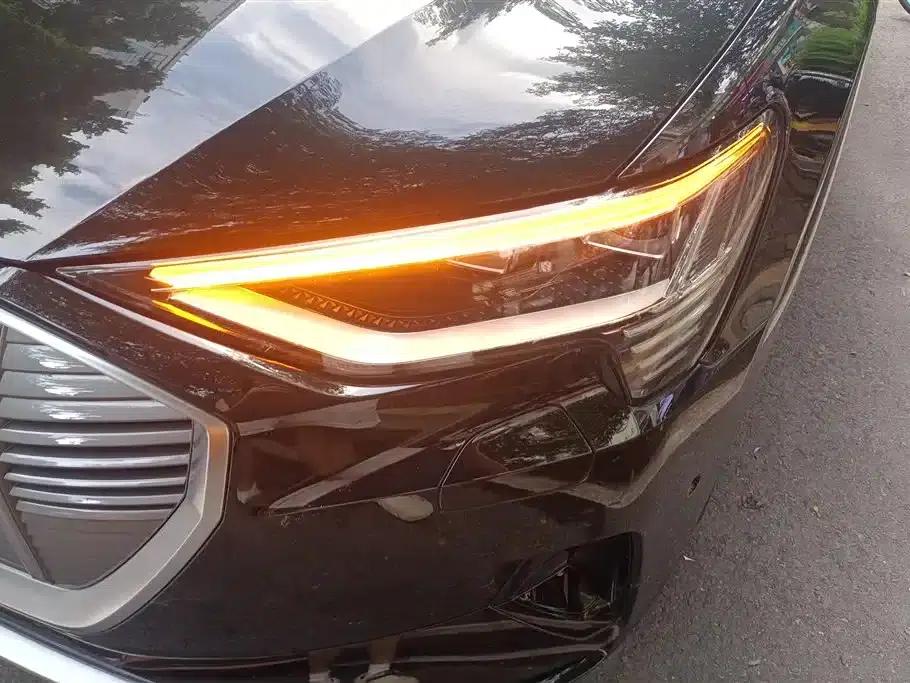 2019 Audi e-tron Imported Model 55 quattro Fashion Edition — миниатюра 5