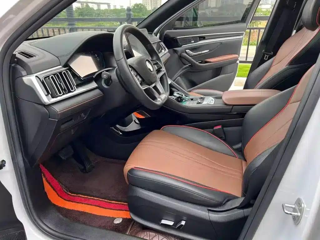 Song PLUS 2020 1.5T Automatic Flagship Edition — миниатюра 12