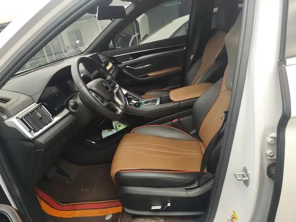Song PLUS 2020 1.5T Automatic Flagship Edition — миниатюра 7