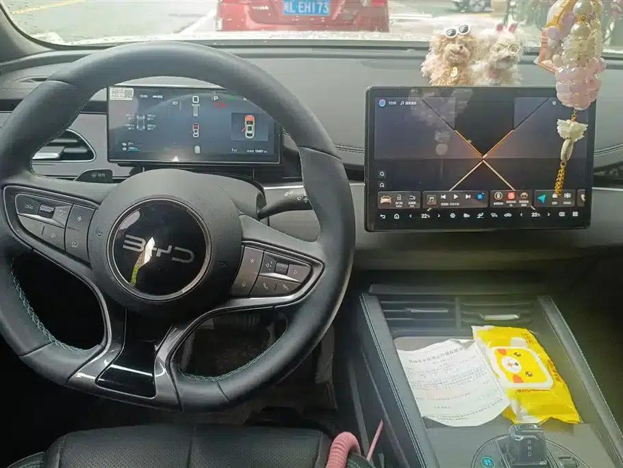 Seal 06 DM-i Touring Edition 2025 DM-i 150KM Premium Model — миниатюра 12