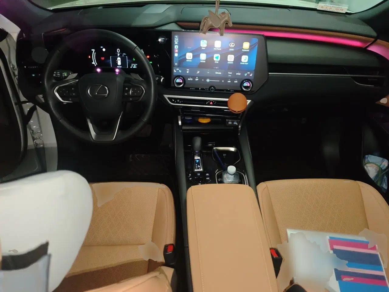 Lexus RX New Energy 2023 450h+ Four-Wheel Drive Enjoyment Edition — миниатюра 9