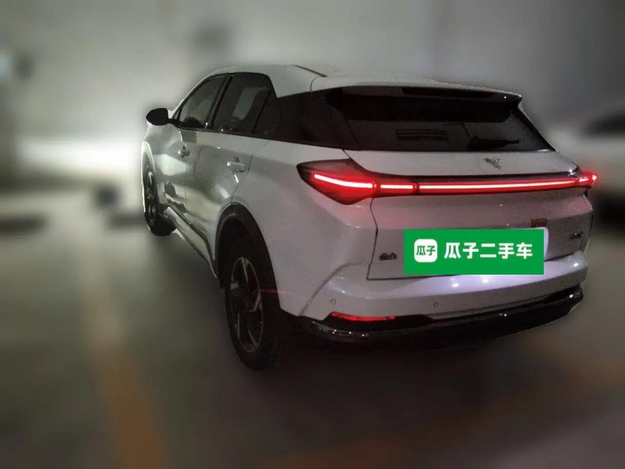 NETA X 2023 500 Lite — миниатюра 4