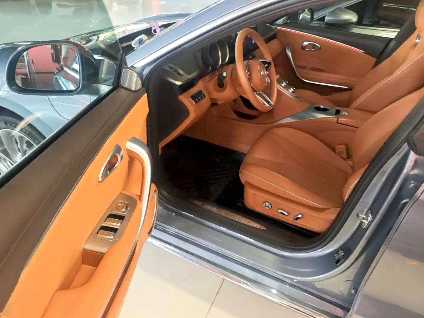 ORA Lightning Cat 2022 555 km Luxury Edition — миниатюра 18