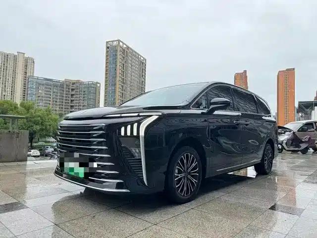 Xinghai V9 2024 1.5TD 200km Qingyun Ladder Series Premium Model