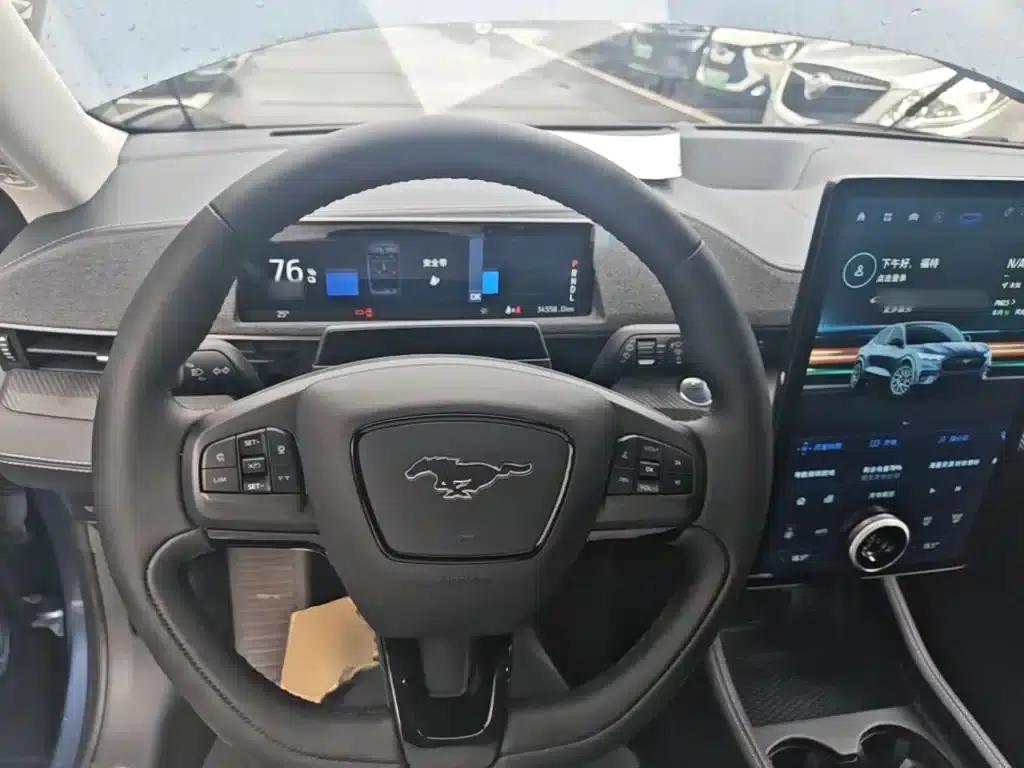 Ford e31 2021 Model X Unlimited Rear-Wheel Drive Luxury Edition Long Range — миниатюра 11