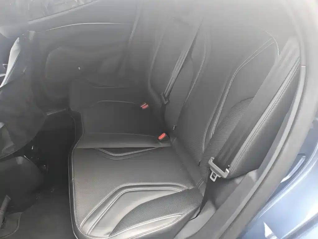 Ford e31 2021 Model X Unlimited Rear-Wheel Drive Luxury Edition Long Range — миниатюра 17