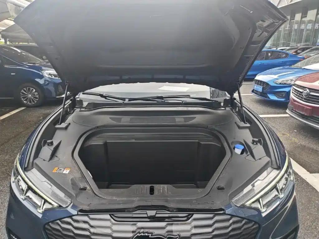 Ford e31 2021 Model X Unlimited Rear-Wheel Drive Luxury Edition Long Range — миниатюра 20