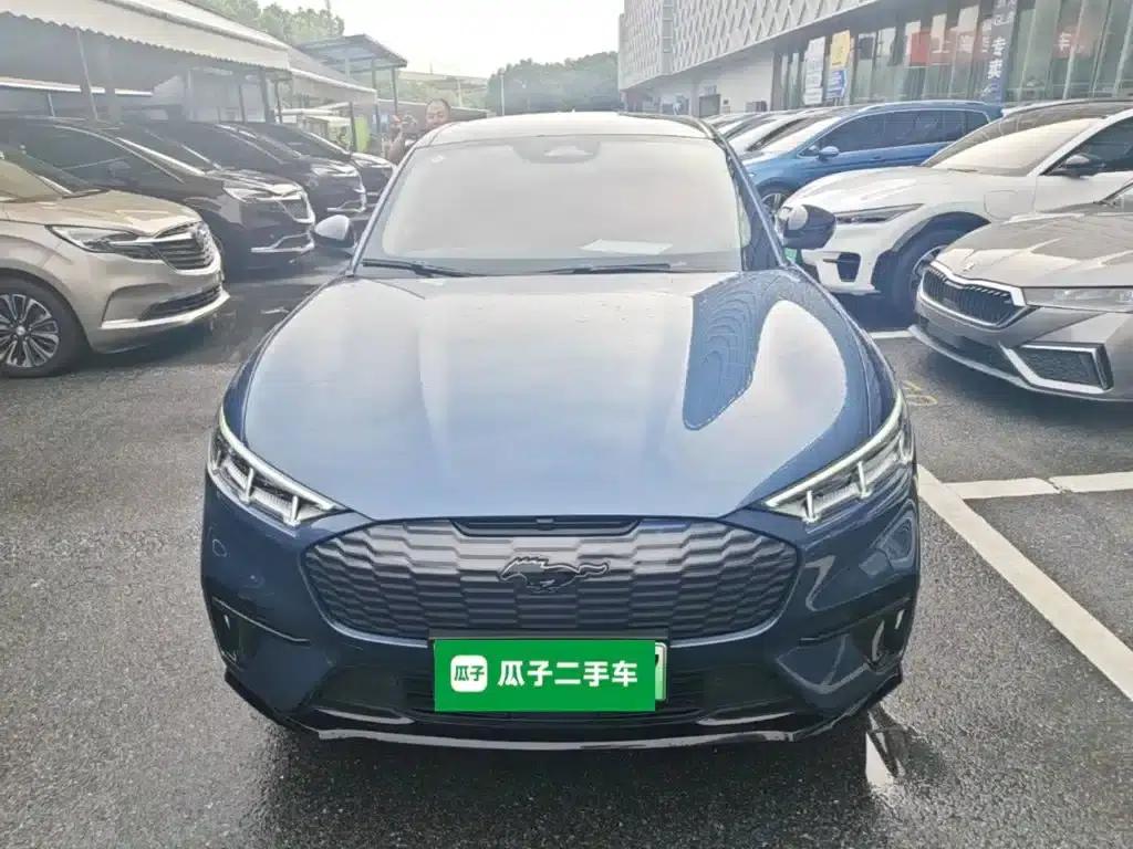 Ford e31 2021 Model X Unlimited Rear-Wheel Drive Luxury Edition Long Range — миниатюра 3