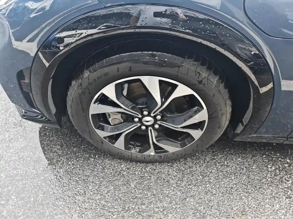 Ford e31 2021 Model X Unlimited Rear-Wheel Drive Luxury Edition Long Range — миниатюра 23