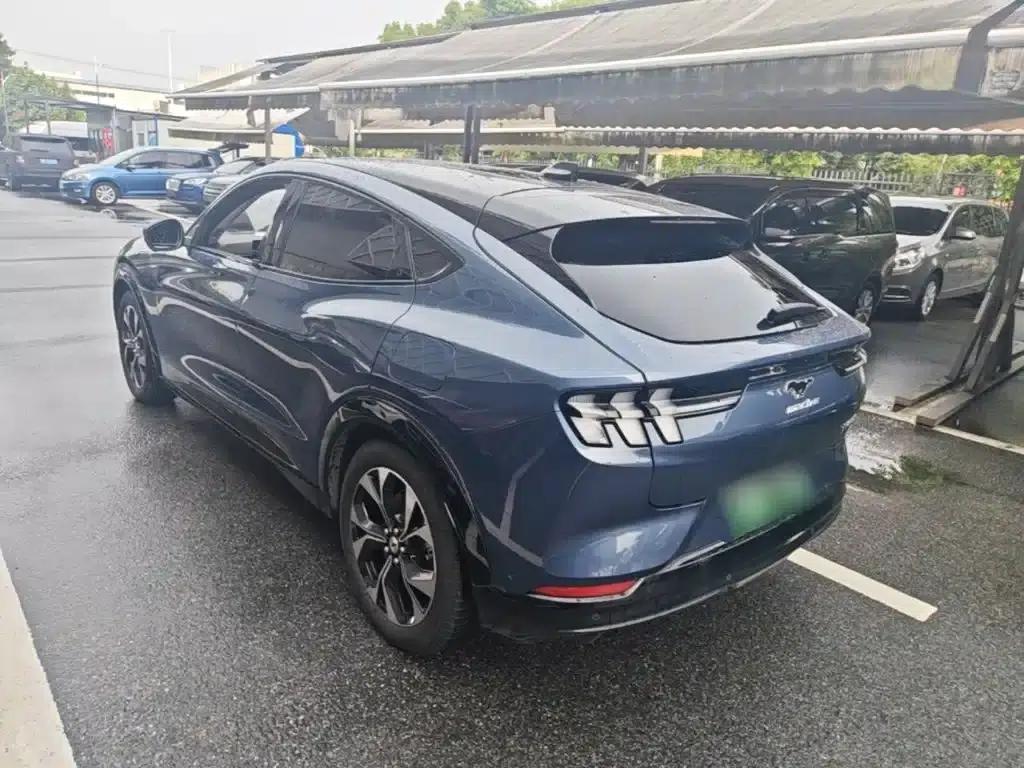 Ford e31 2021 Model X Unlimited Rear-Wheel Drive Luxury Edition Long Range — миниатюра 5