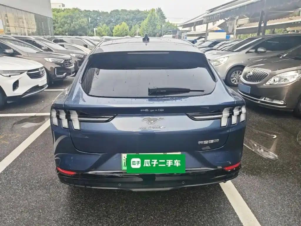 Ford e31 2021 Model X Unlimited Rear-Wheel Drive Luxury Edition Long Range — миниатюра 6