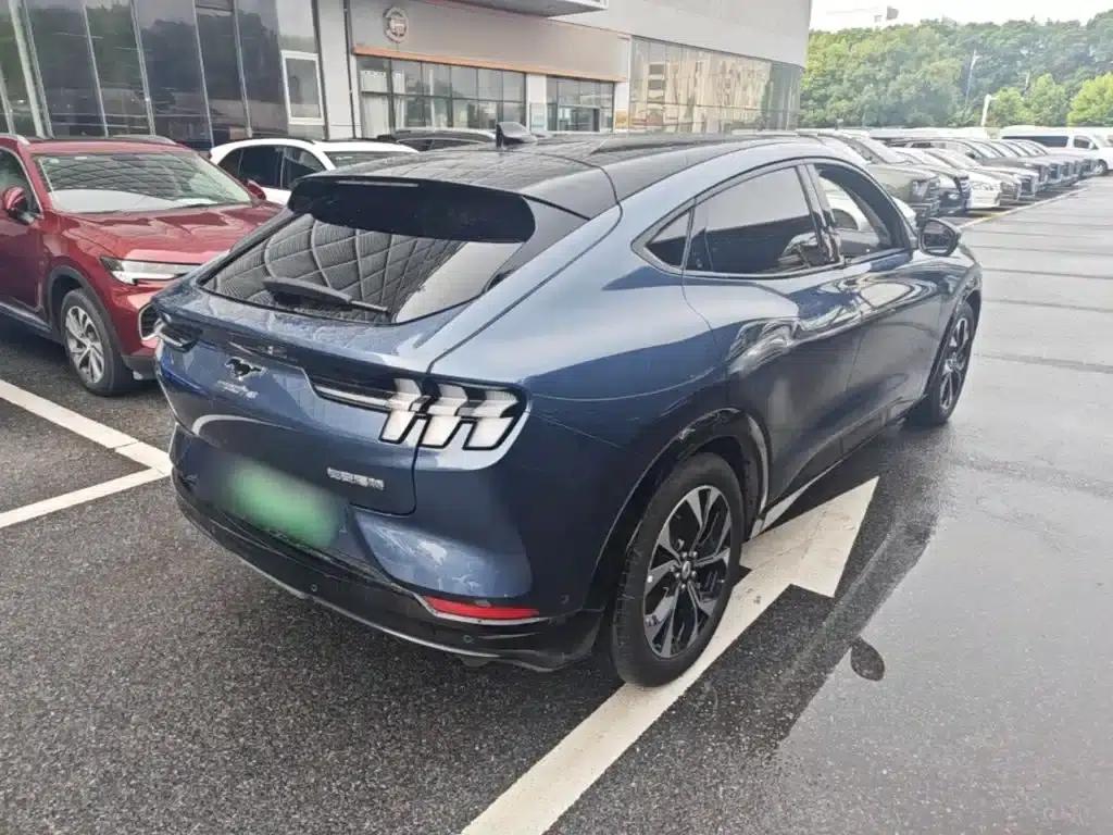Ford e31 2021 Model X Unlimited Rear-Wheel Drive Luxury Edition Long Range — миниатюра 7