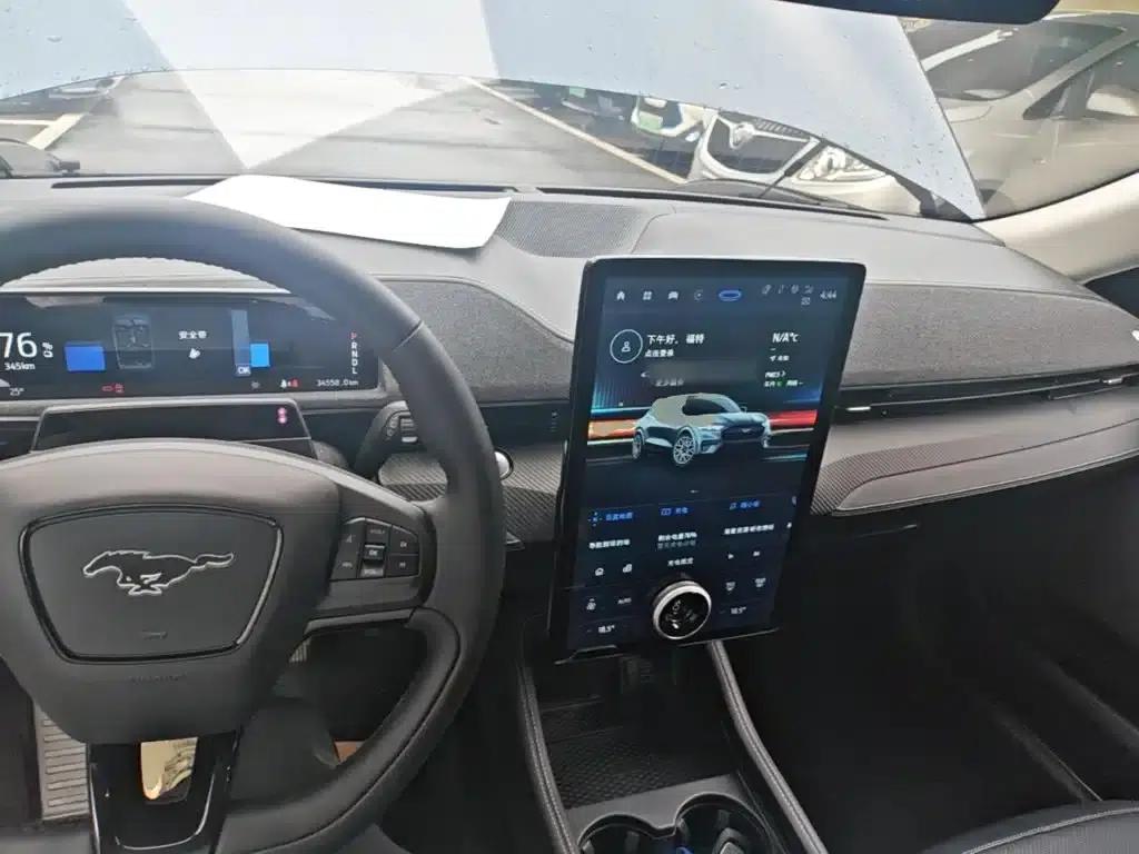 Ford e31 2021 Model X Unlimited Rear-Wheel Drive Luxury Edition Long Range — миниатюра 10