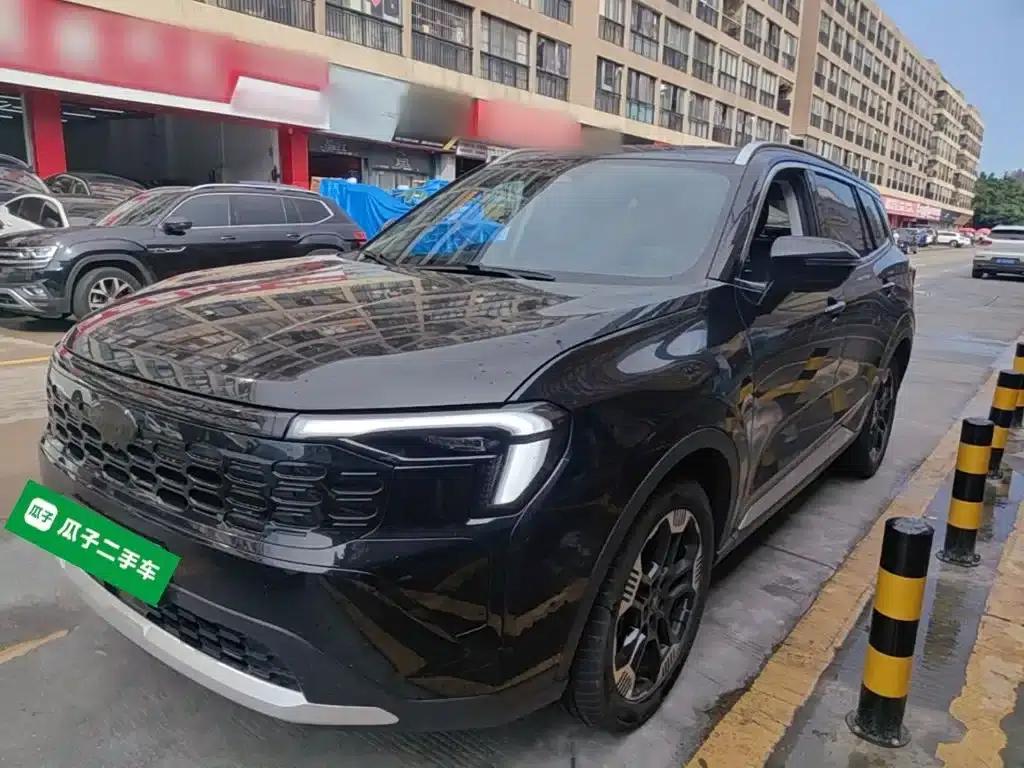 2025 EcoBoost 170 Platinum Edition — миниатюра 2