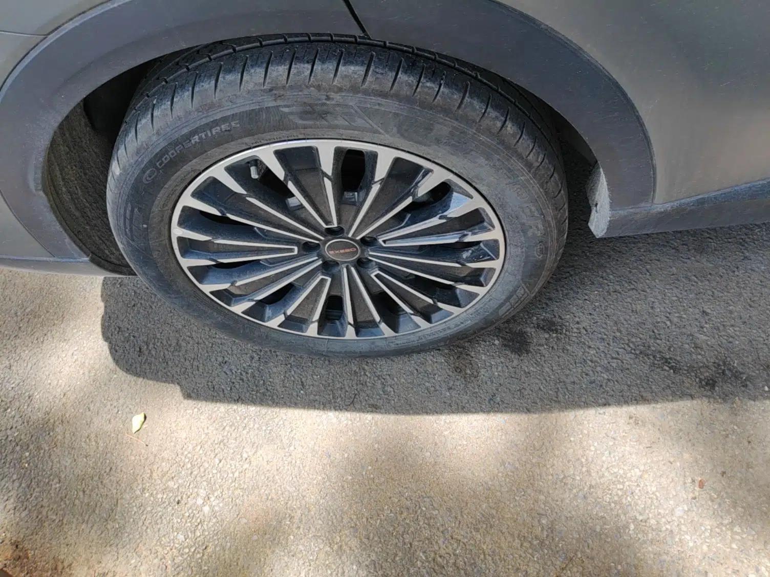 EXEED Stellar C-DM 2025 100 Long-Range Pro Two-Wheel Drive — миниатюра 16