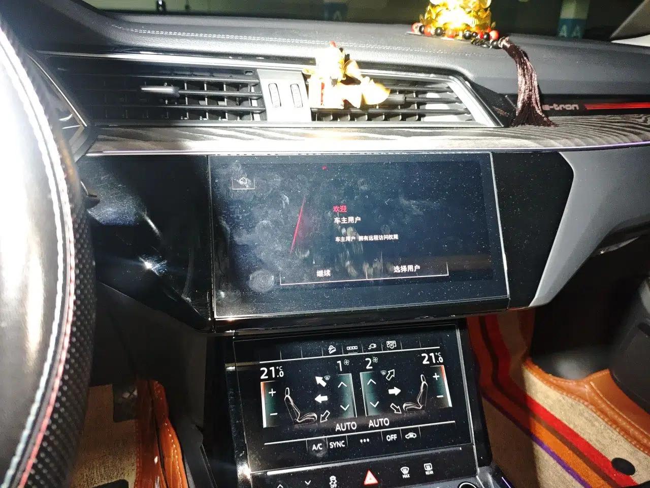 Audi e-tron 2021 50 quattro Prestige Edition — миниатюра 13