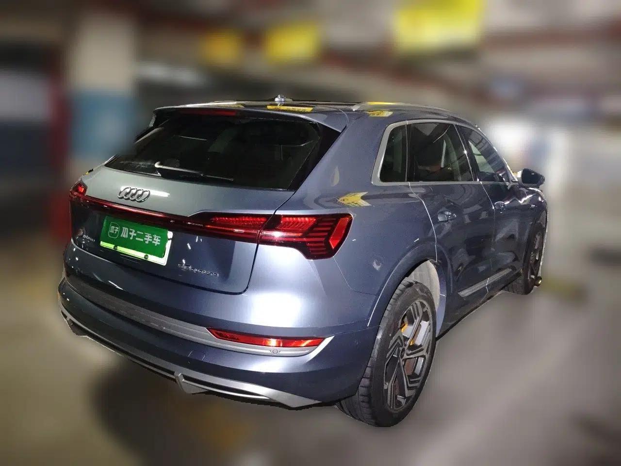Audi e-tron 2021 50 quattro Prestige Edition — миниатюра 6