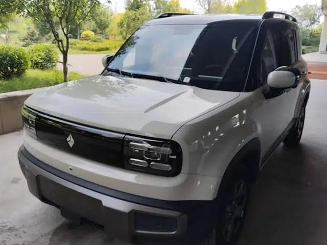 Baojun Spark EUV 2026 301km Flagship Edition