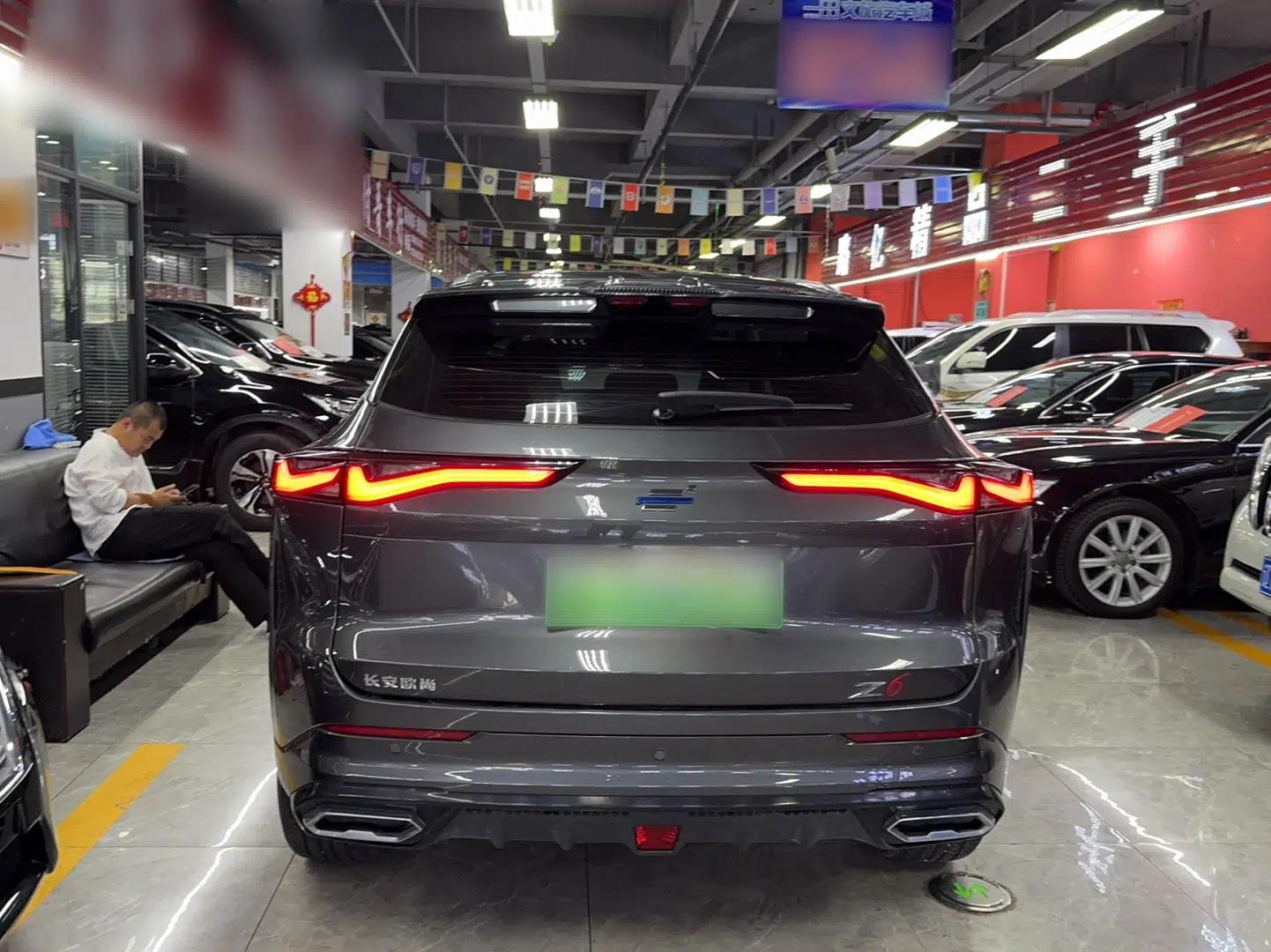 CHANGAN OSHAN Z6 New Energy 2023 ZhiDian iDD 150KM Flagship PLUS — миниатюра 6
