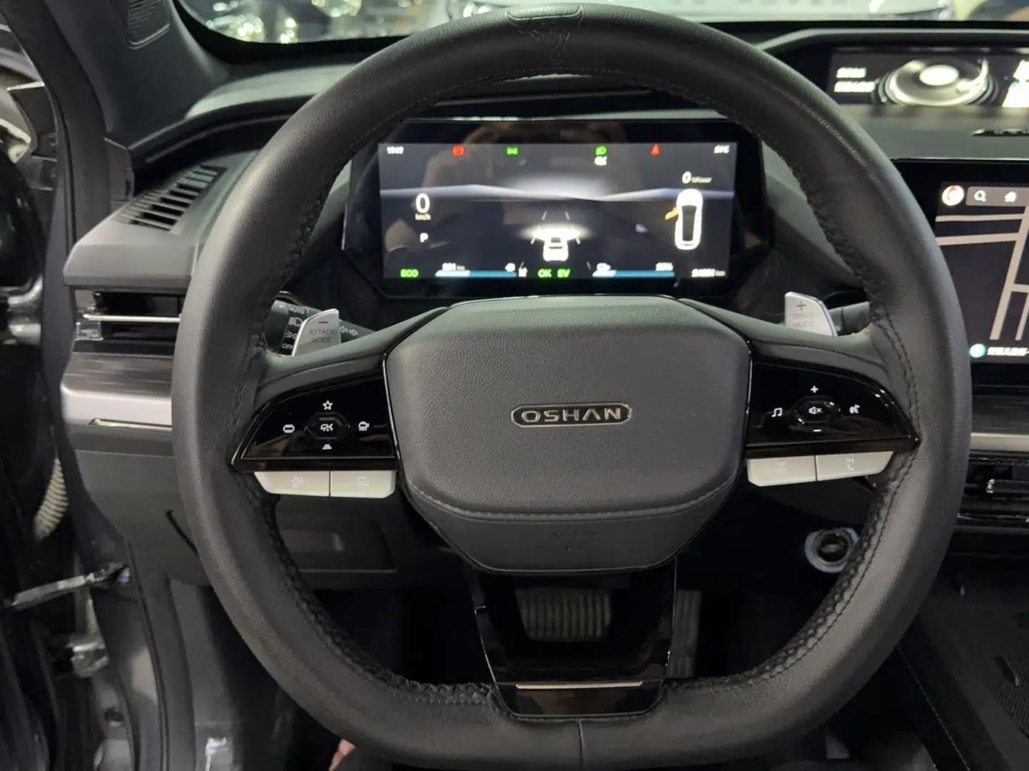 CHANGAN OSHAN Z6 New Energy 2023 ZhiDian iDD 150KM Flagship PLUS — миниатюра 8