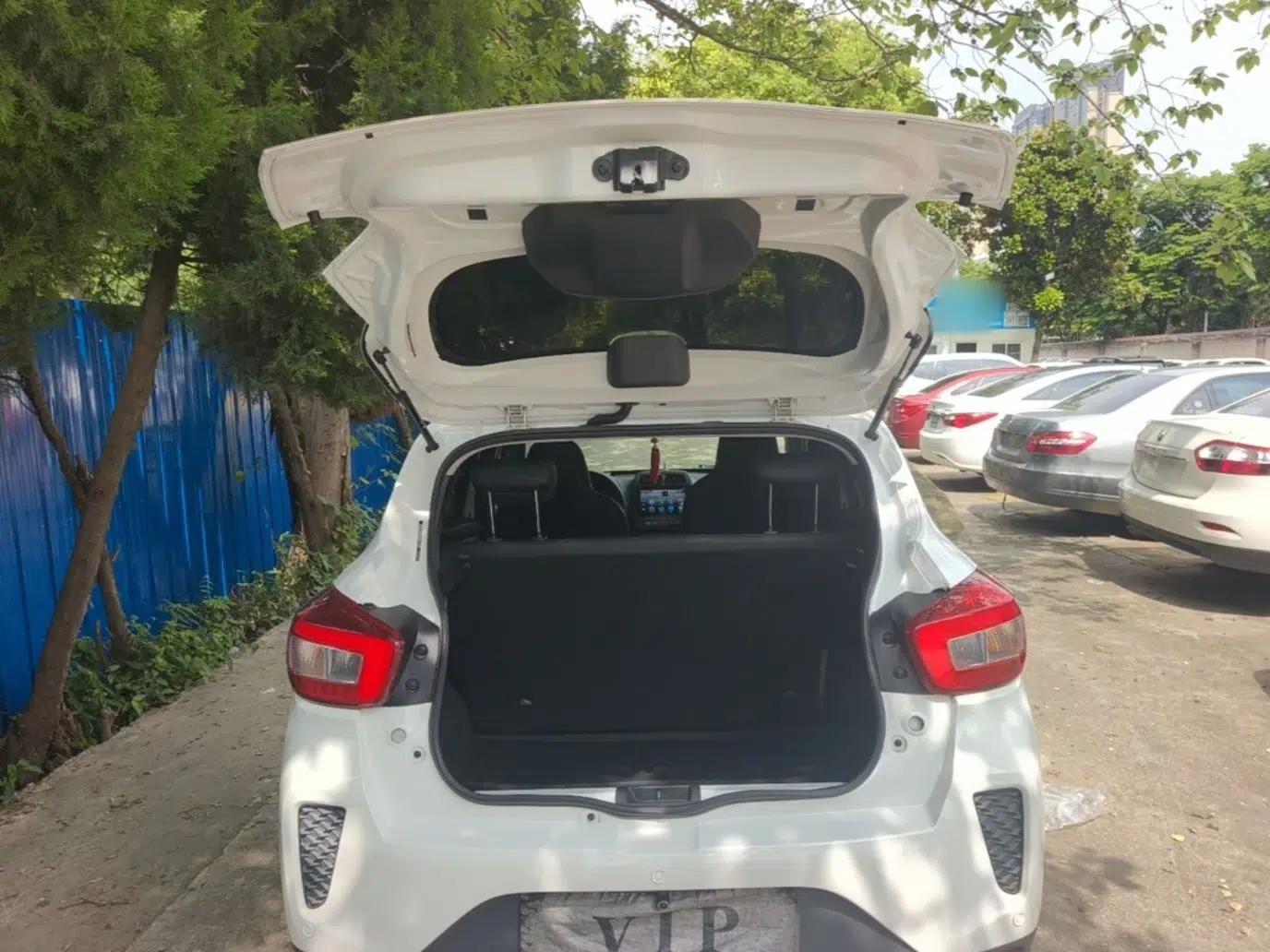 Dongfeng NAMMI EX1 2022 Revised PRO Enjoyment Version — миниатюра 22